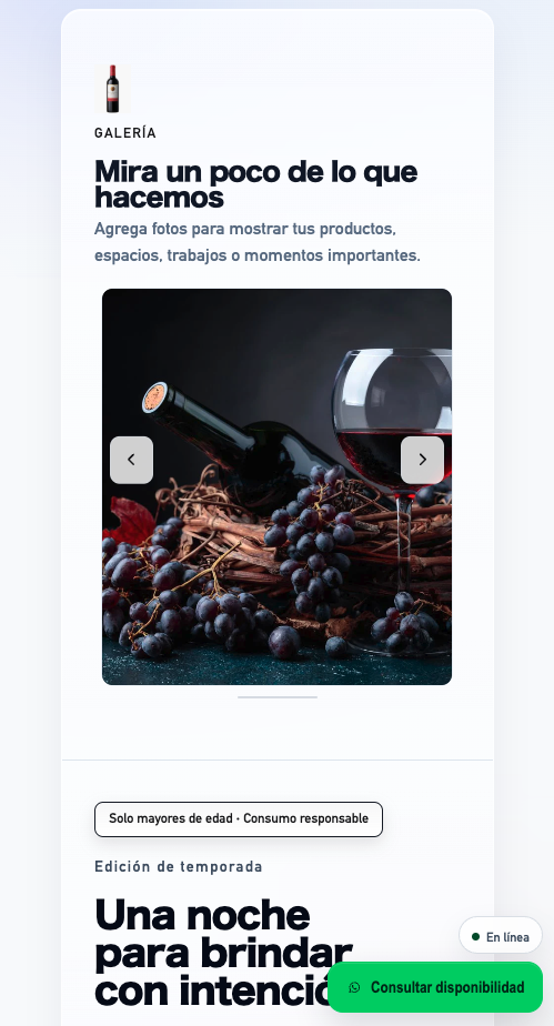 Plantilla demo con galería visual para artesanos y diseñadores