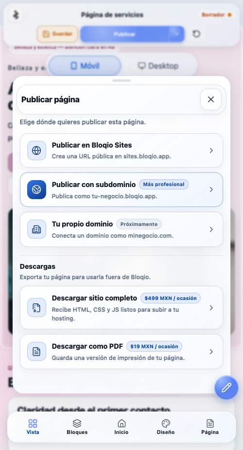 Paso 7: opciones de publicación y descarga